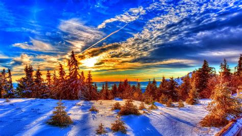 Free Download Free Winter Wallpaper Hd 1920x1080 For