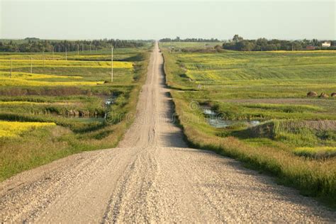 748 Long Straight Dirt Road Stock Photos Free And Royalty Free Stock