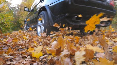 Cars On The Autumn Road Under Leaves Image Free Stock Photo Public