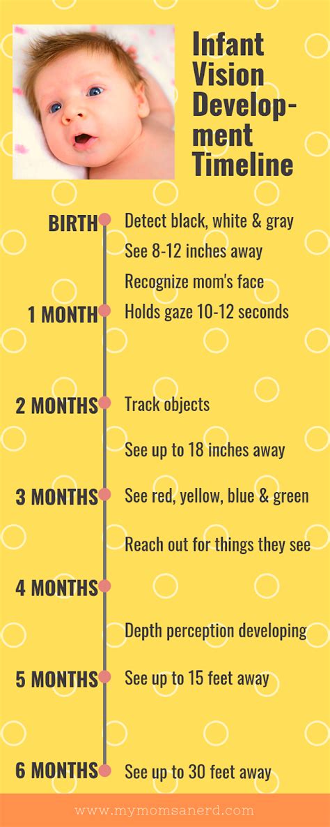 Infant Visual Development A Timeline Infographic My Moms A Nerd