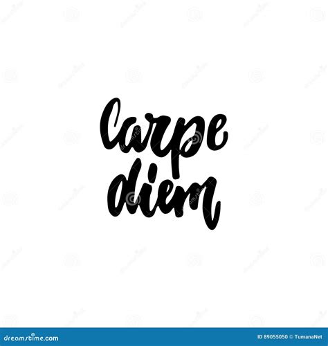 Carpe Diem Hand Drawn Lettering Latin Phrase Seize The Day Isolated