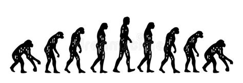 Theory Evolution Of Man From Monkey To Man Vintage Engraving Stock