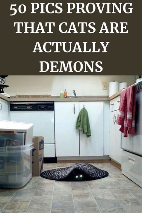 50 Pics Proving That Cats Are Actually Demons Artofit