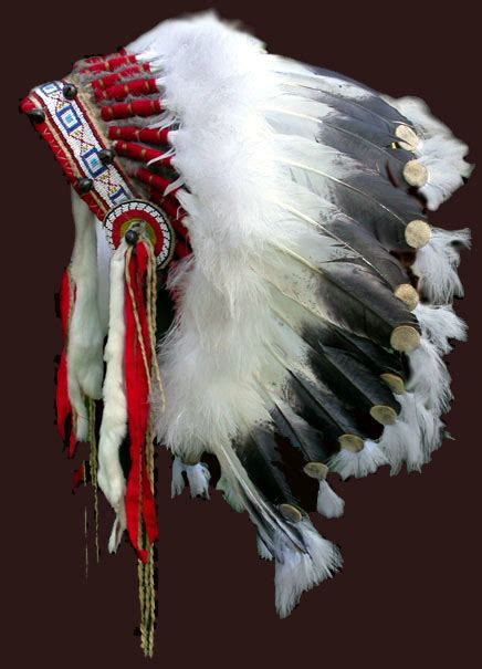 Native American Indian Headdress Taramaso Photo