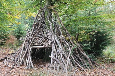 How To Build A Shelter In The Wild Secrets Of Survival