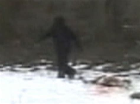 Russian Yeti Mystery Solved Video On