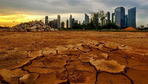 11000 Scientists Warn Of Untold Suffering Brought Upon By Climate Crisis