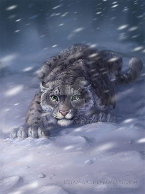 Snow Leopards By Lilian Art On Deviantart