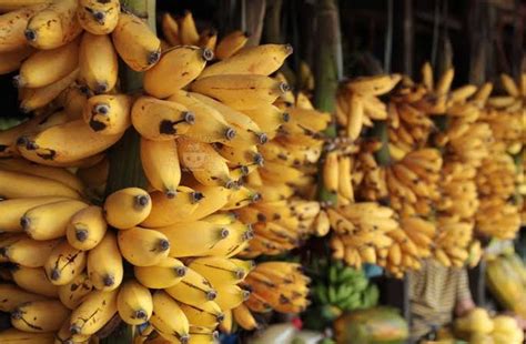 Banana Varieties In The Philippines Wazzup Pilipinas News And Events
