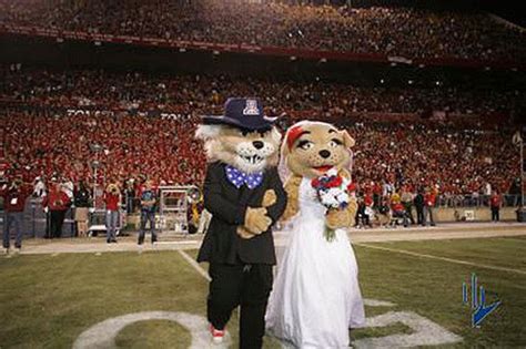 Why The University Of Arizona Has The Best Mascots In The Nation