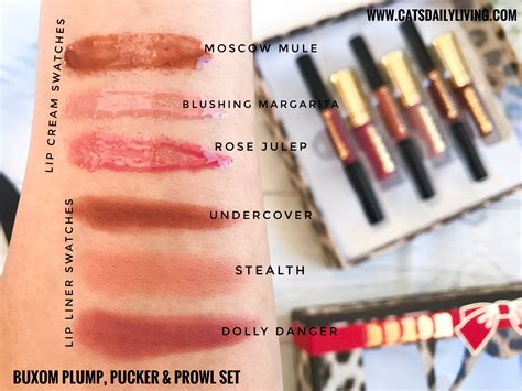 Swatching The Entire Collection Of Buxom Cosmetics Lip Products