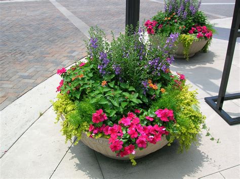 Low Bowl Summer Annual Planter Flower Pots Outdoor Potted Plants