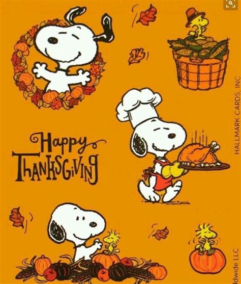 Pin By Kim Lauderdale On Peanuts Thanksgiving Snoopy Snoopy Halloween Thanksgiving Pictures