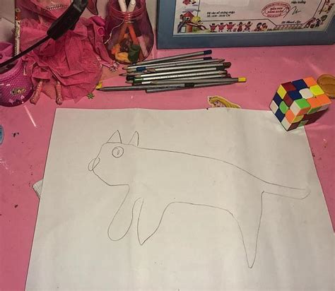 Cat Drawing Girl Tracing Cat Know Your Meme