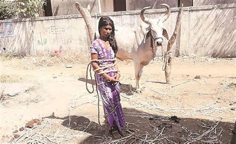 Gujarat Tribal Woman Tied To Stump Beaten Up After Her Son Elopes