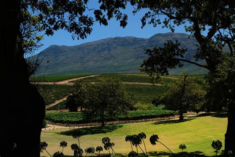 History Of Constantia Western Cape South Africa