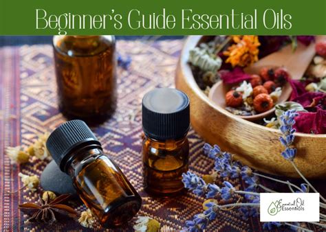 Beginners Guide To Essential Oils Part 1 Essential Oil Essentials