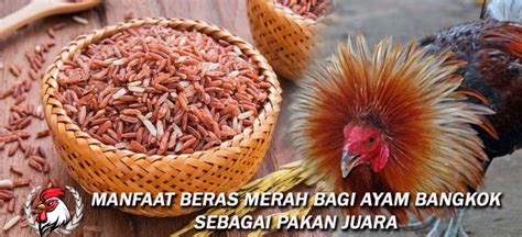 01/11/2020 0 Comment Editor 01