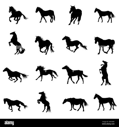 Set Of Black Horses Silhouettes On White Background Stock Photo Alamy