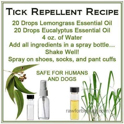 Does This All Natural Tick Repellent Recipe Work?