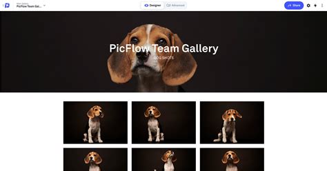 Picflow Professional Client Gallery And Proofing Workflow Simplified