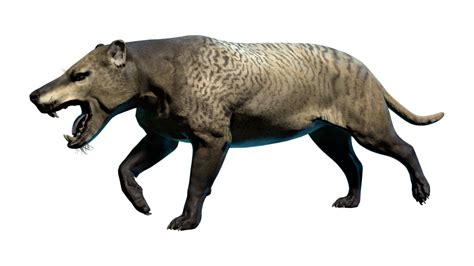 Hyaenodon Prehistoric Kingdom Wiki Fandom
