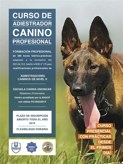 Centro Adiestramiento Canino Educador De Perros Pontevedra