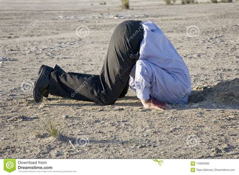 Bury Your Head In The Sand Stock Photo Image Of Climate 116635682