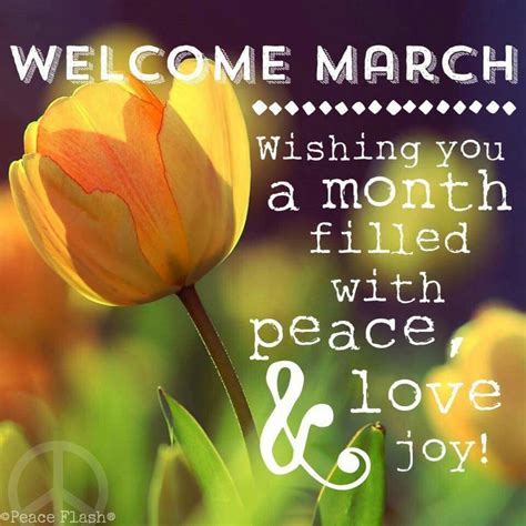 Pin By Barbara Maule On March Welcome March Quotes Words Hello March