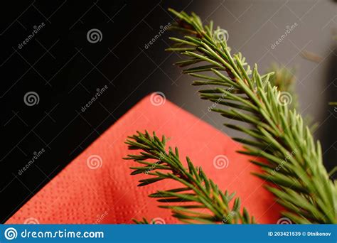 Christmas Tree Branch On A Black Background Dim Lights Stock Image