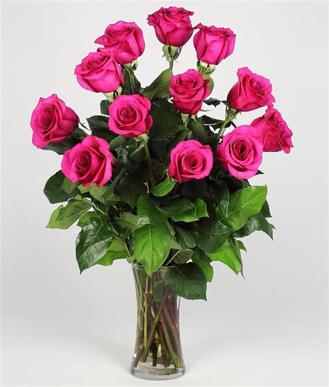 Bright Pink Long Stemmed Roses 12 In Saint Paul Mn Iron Violets