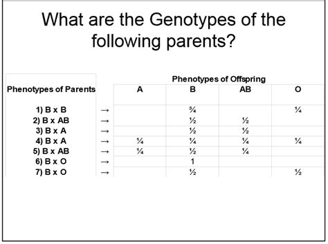 Genotype examples it's hard to provide concrete examples of genotype. Solved: What Are The Genotypes Of The Following Parents? U ...