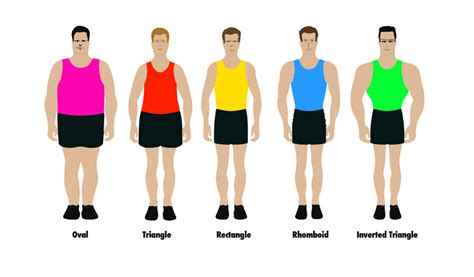 Men S Body Shapes Your Ultimate Guide Styl Inc