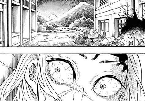 Kimetsu no yaiba ,chapter 205.6. Kimetsu No Yaiba: Demon Slayer Chapter 200, Muzan death, Spoilers, Release Date