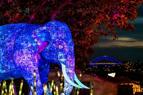 2019 (mmxix) was a common year starting on tuesday of the gregorian calendar, the 2019th year of the common era (ce) and anno domini (ad) designations, the 19th year of the 3rd millennium. Vivid Sydney 2019 | Livegreenblog