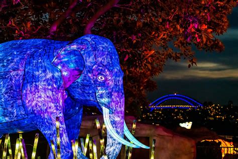 Vivid Sydney 2019 | Livegreenblog