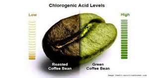 While more research needs to be done on the effects that chlorogenic acid in green coffee has on certain medical conditions, there are some that show. Chlorogenic Acid: Health Benefits, Possible Side Effects ...