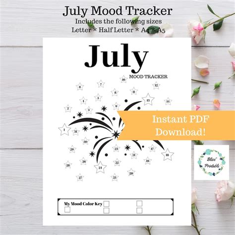 July Bullet Journal Mood Tracker Fireworks Etsy