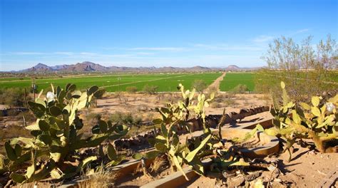 Mission San Xavier Del Bac Tours Book Now Expedia