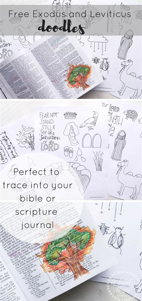 Exodus And Leviticus Scripture Doodles Free Printable Scripture