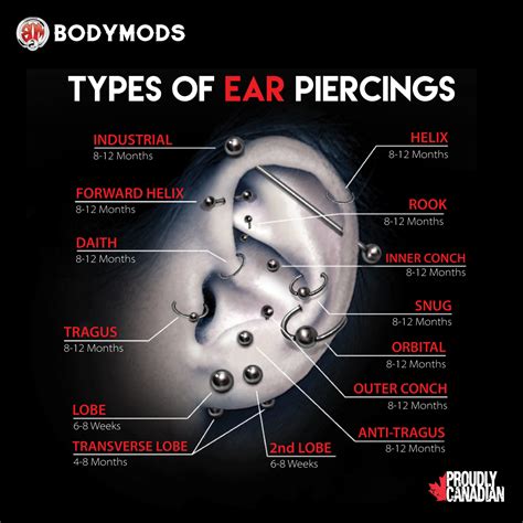Ear Piercings And Their Healing Time Bodymods