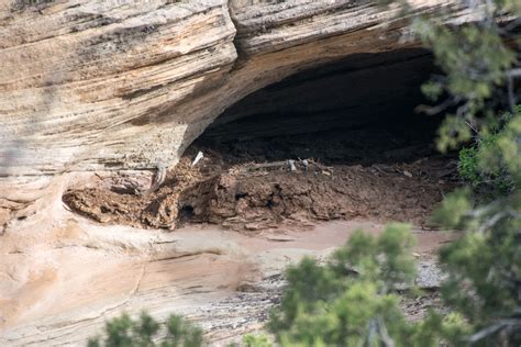 There are nine of them in the area. Walking in the Footsteps of Dinosaurs