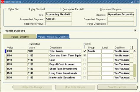 Segment Values Window Oracle Erp Apps Guide