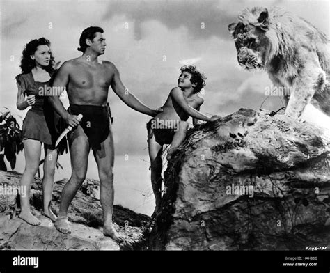 Tarzan Finds A Son Year 1939 Usa Director Richard Thorpe Johnny Weissmuller Maureen O