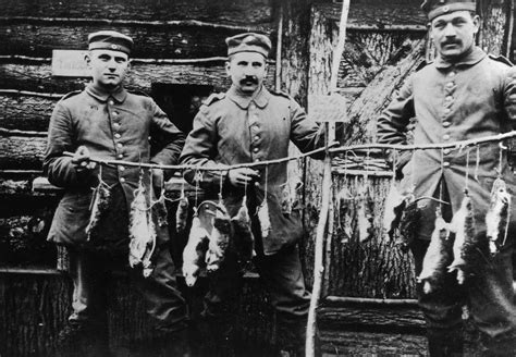 Incredible Photographs Capture Trench Rats Killed By Terriers During World War I ~ Vintage Everyday
