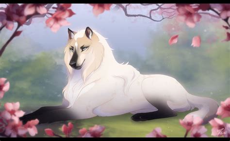 Her Morning Elegance Anime Wolf Wolf Art Canine Art