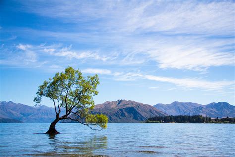 Top 10 Places To Visit New Zealand South Island Photos Cantik