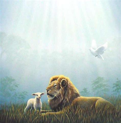 Pin By Erendira Parra On Peace Lion And Lamb Lion Of Judah Jesus