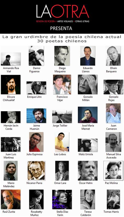 Muestra De 30 Poetas De Chile