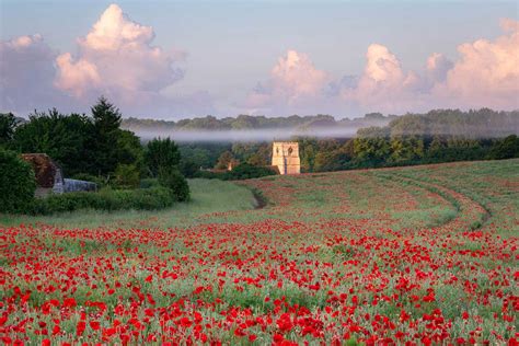 Goodbye Red Misty Poppy Field Landscape Photography By